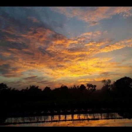 D'Sawah Guesthouse Klaten Bagian luar foto